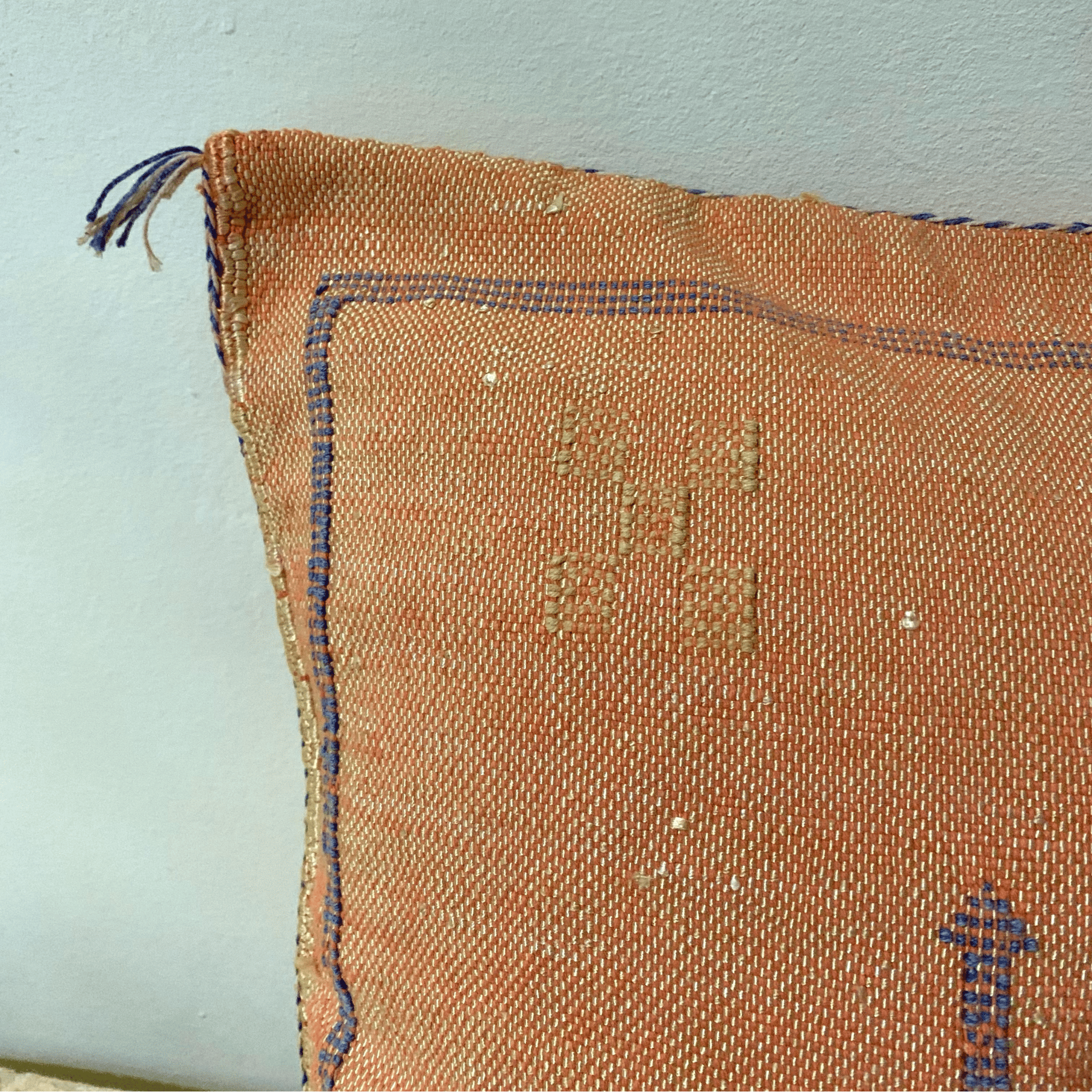 Brown Moroccan cactus silk pillow