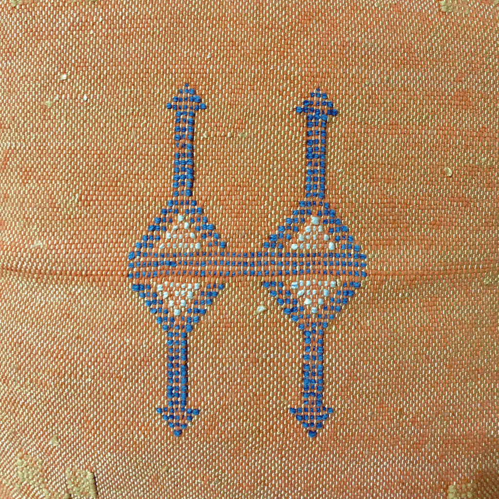 Brown Moroccan cactus silk pillow