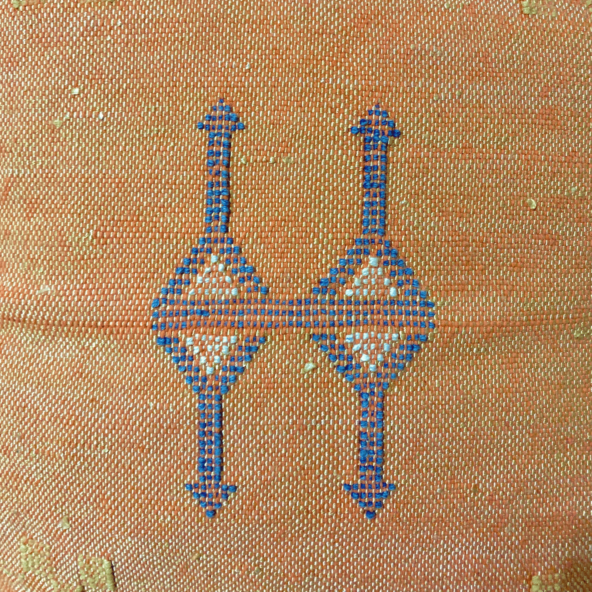 Brown Moroccan cactus silk pillow