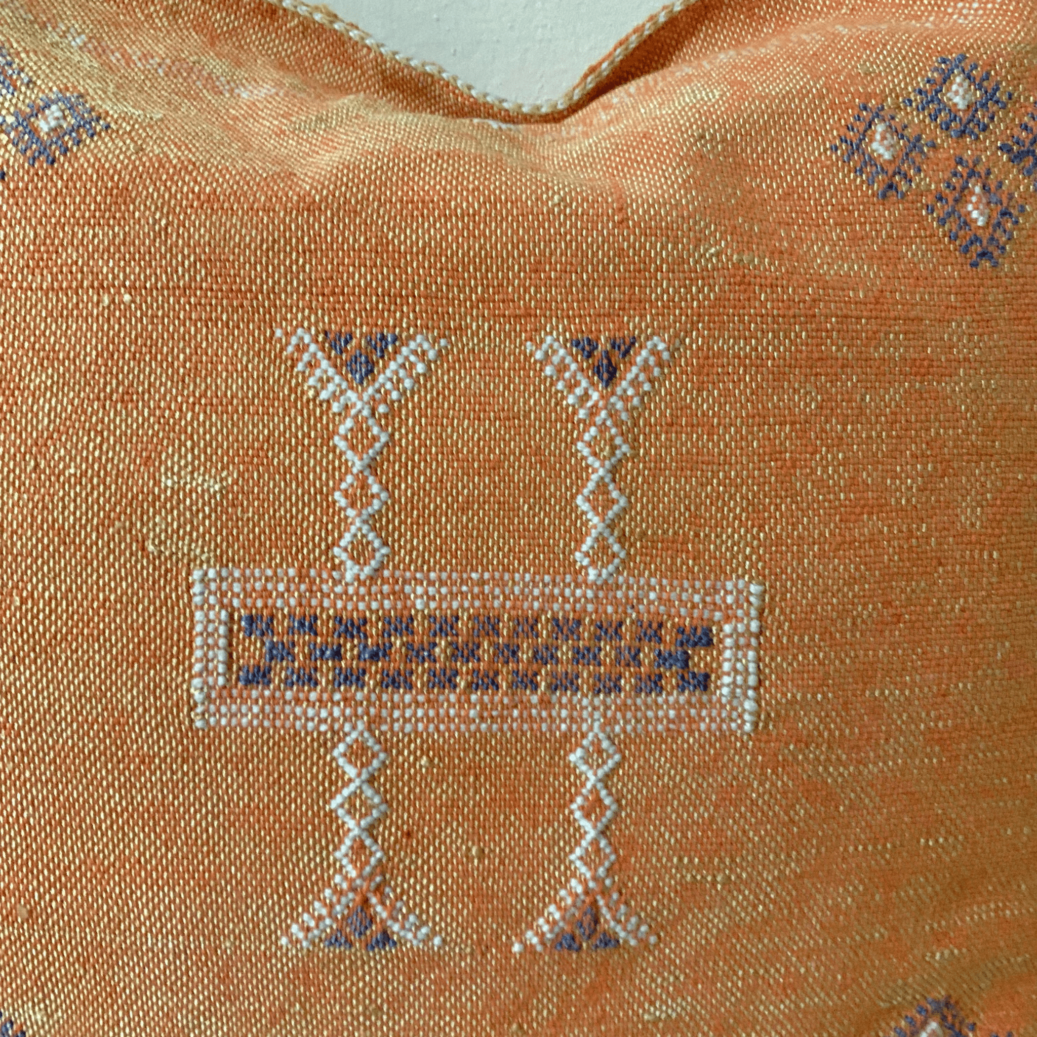 Brown Moroccan cactus silk pillow