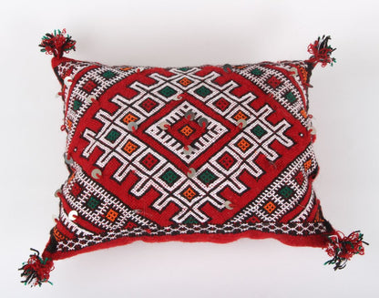 Moroccan Berber boho pillow case covers